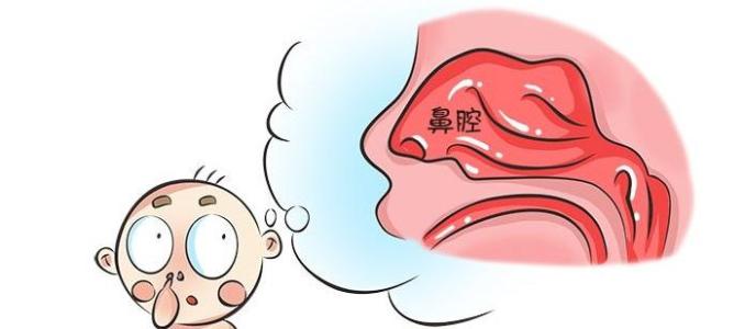 鼻屎堵住了怎么办婴儿,鼻屎导致鼻塞怎么办