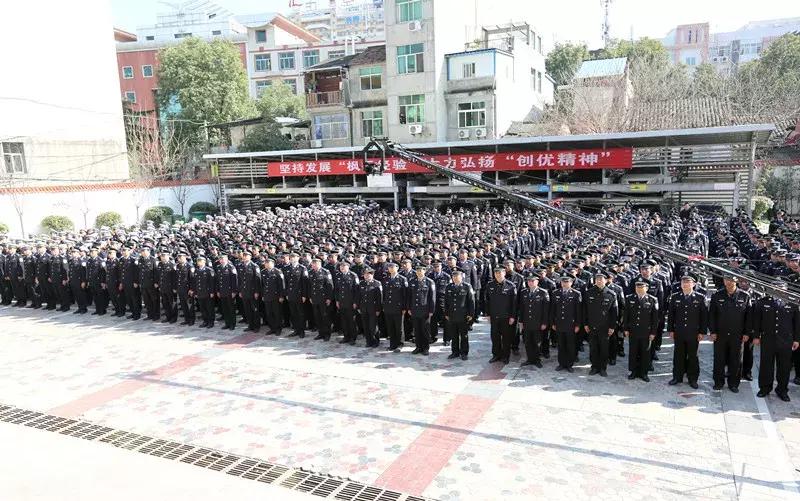 安康市公安局扫黑除恶专项斗争大事记