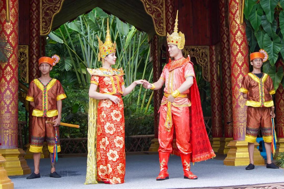 打卡中老铁路,曼听公园网红打卡景点