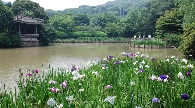 江苏园林旅游攻略,江苏有哪些免费园林景区