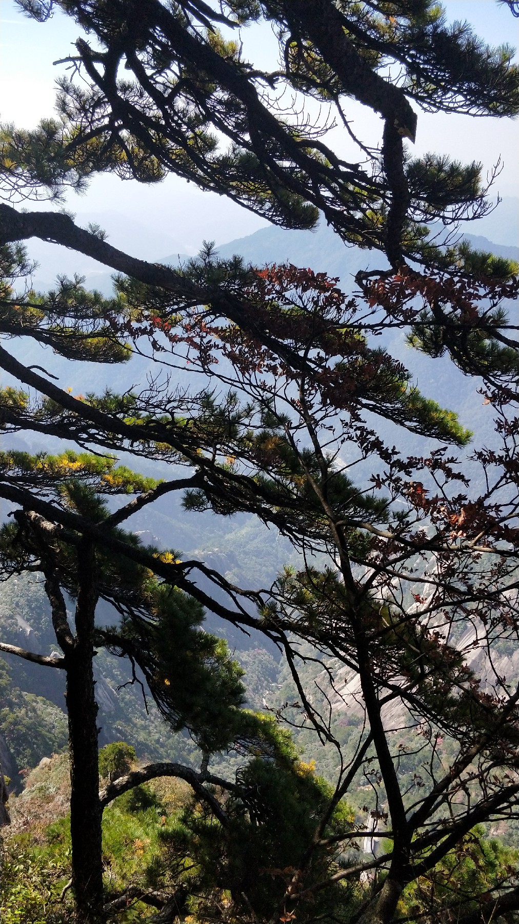 灏戝勾鏃剁殑姊︽兂榛勫北,瀛︾敓鏃朵唬姊︽兂