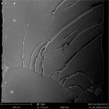 sem扫描电镜原理及应用,sem扫描电镜分析的作用