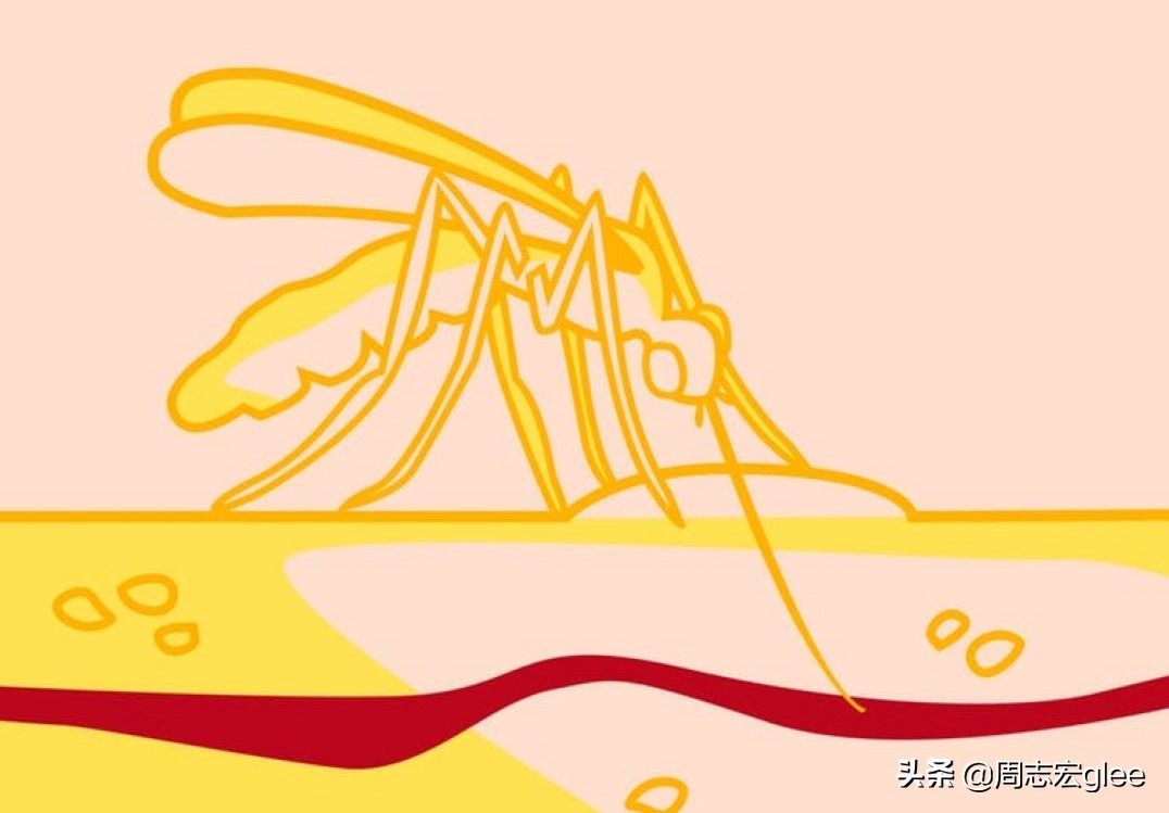 蚊虫叮咬一直痒怎样治,蚊虫叮咬越挠越痒怎么办