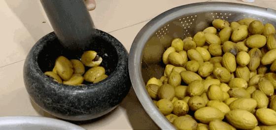 正宗的广东橄榄菜的制作,潮汕橄榄菜制作过程曝光