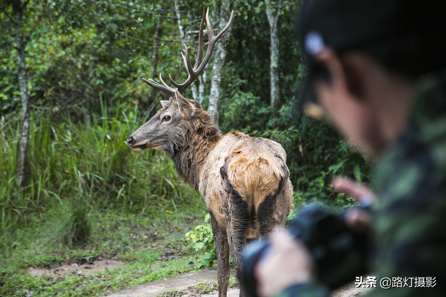 中国南方最适合避暑的城市,气候湿润四季如春的宜居城市