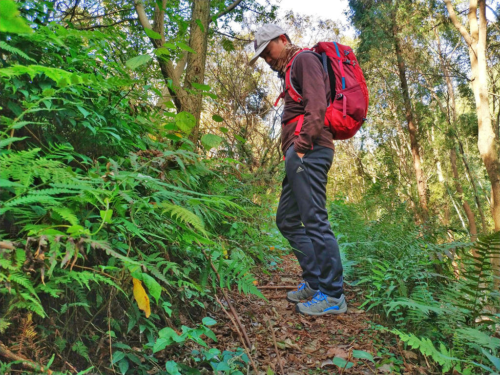 温暖舒适轻盈灵活——阿迪达斯HYBDSTRPTWT18男子户外长裤测评