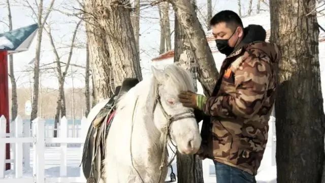 马背上的“代购员”真帅