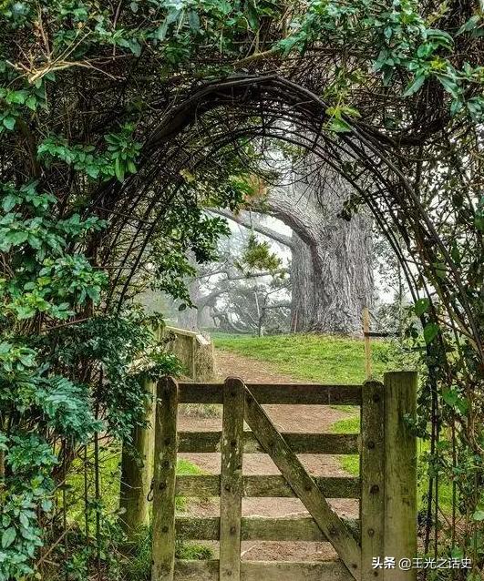 鏂拌タ鍏版槸鍐滀笟鍥藉悧,鍐滀笟鍥芥柊瑗垮叞