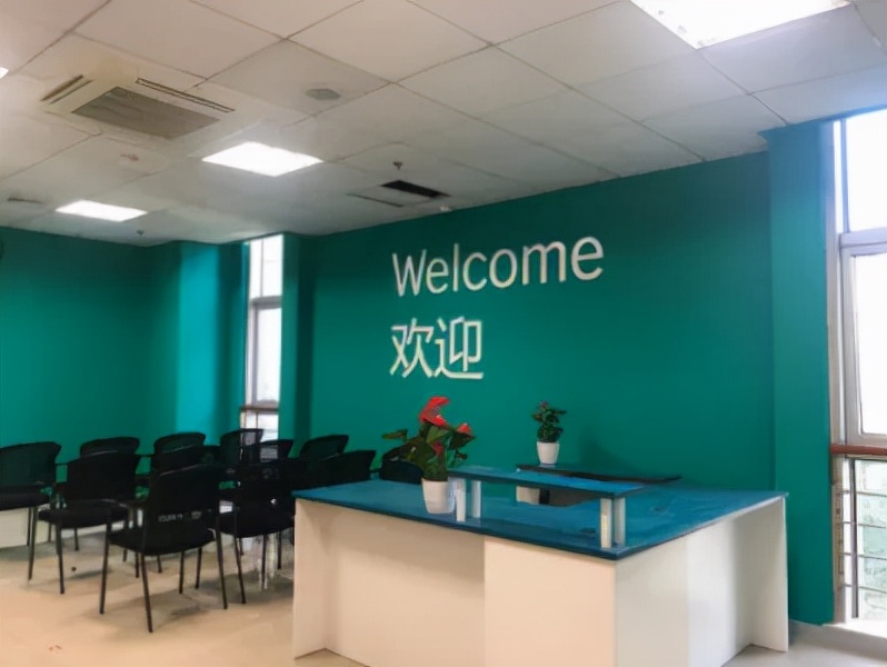 羊驼雅思报考,羊驼雅思网课