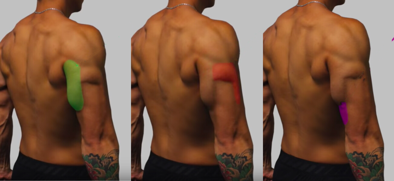 史密斯架肱三头肌训练动作,肱三头肌训练最好的三个动作