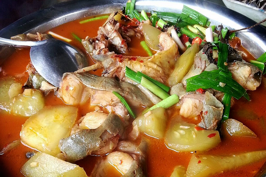 被人误解最深的鱼,被人误会最深的一种鱼