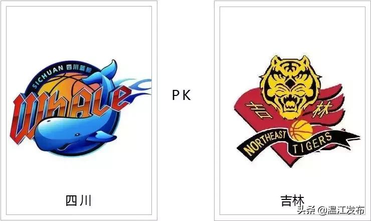 四川男篮cba2024赛季,四川男篮cba赛场