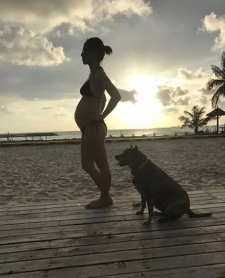 狗子感受到人类胎动,狗趴在主人肚子上听到胎动