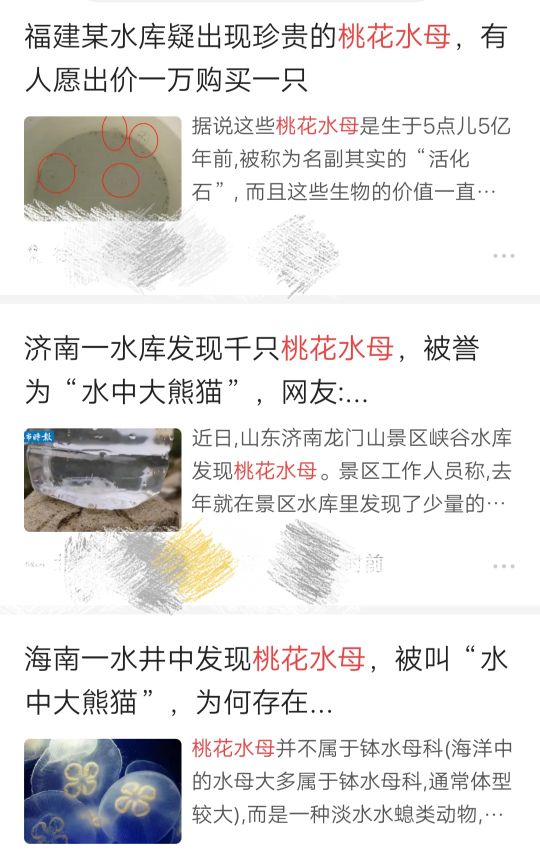 水中大熊猫桃花水母南通,成都发现水中大熊猫桃花水母