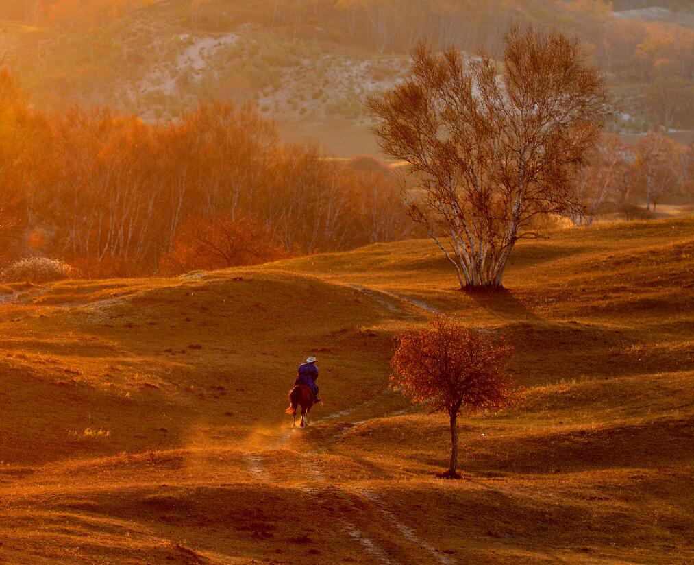 乡音不改乡情难忘更多的是乡愁,改不了的乡音忘不了乡愁