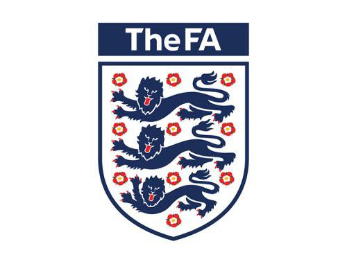 “欧洲中国队”再次“出丑”，不对，是再次出征