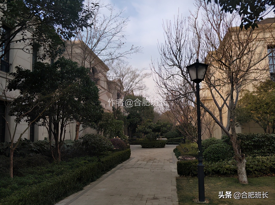 可以传世的房子格局,合肥汤臣一品海景房