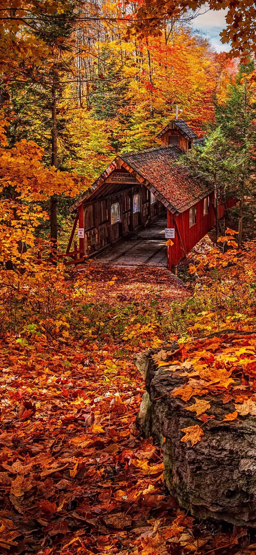 livephoto壁纸风景,livephoto壁纸动态效果不可用