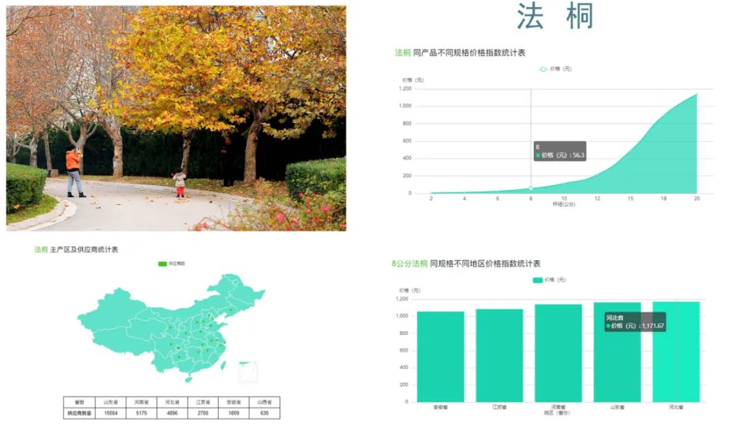 最贵的树种排名与价格,园林苗木骗局曝光案例最新