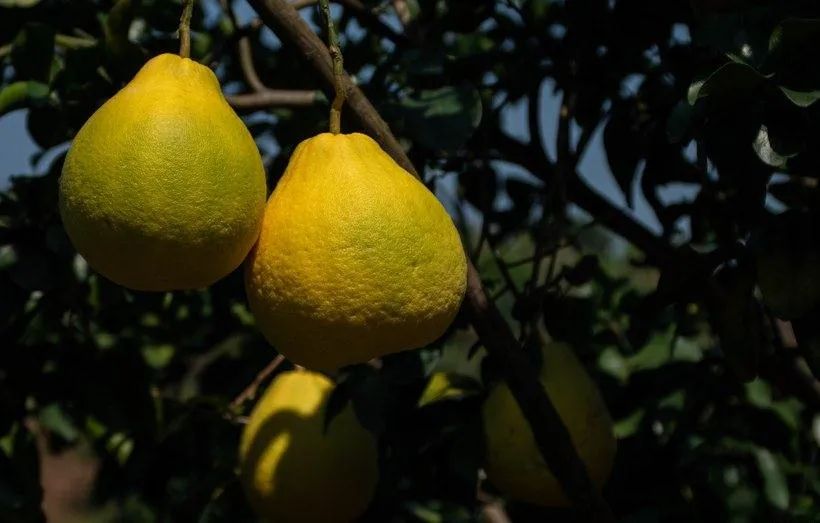 大阳150踏板摩旅进藏,大阳adv150长途摩旅西藏