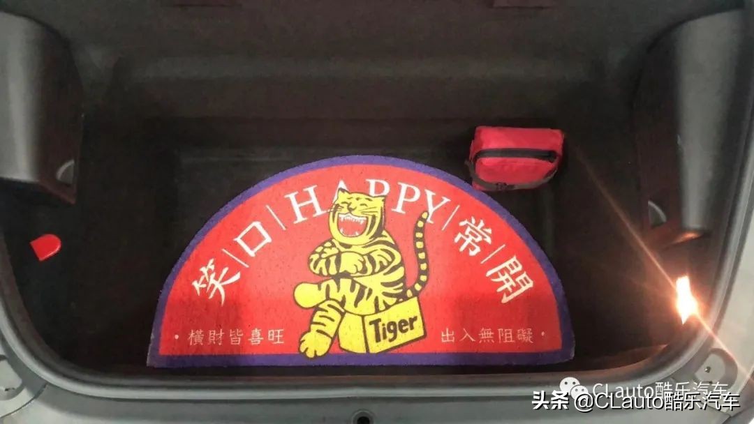 ​近乎残疾，不忍直视|流浪豹STI收养记Vol.01