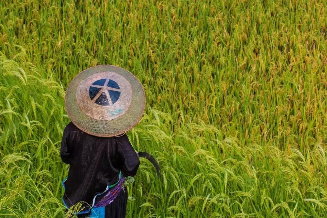 这辈子没看过这里，上帝都会觉得可惜！随手拍都是一幅画