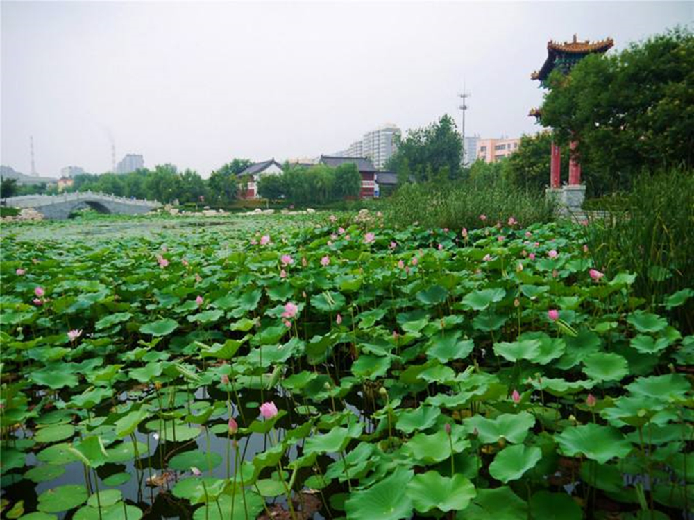 济宁古八景介绍,济宁古八景在哪里