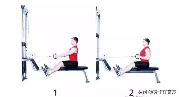 最好的背部训练动作是什么,最好的背部训练动作绳索划船