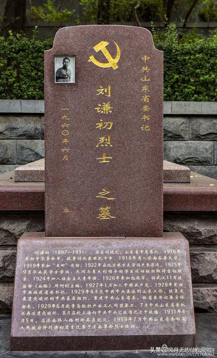 济南秋天的法国梧桐,济南一颗梧桐树