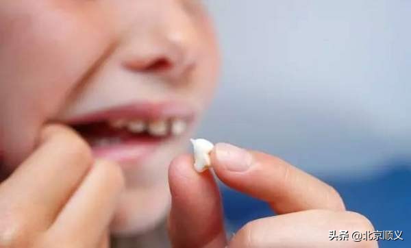 孩子牙磕掉一个角还能长吗,把握孩子的三个黄金关键期