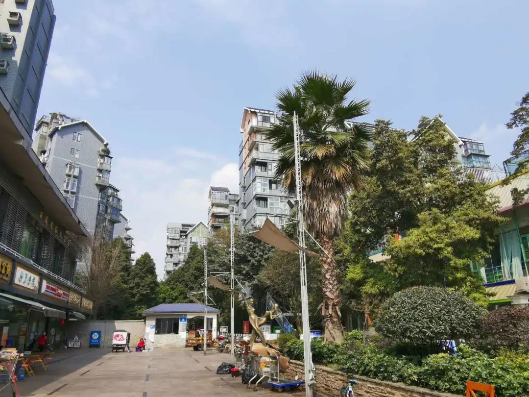 高新地铁口有什么新楼盘,高新区附近有什么好的小区