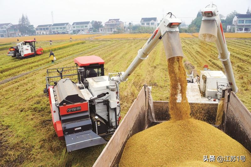 农业集体化是不是大锅饭,集体制农场