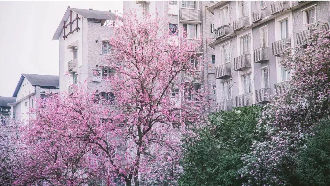 退休后就去国内旅游,退休后必去的100个景点