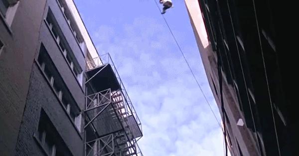 范德彪穿的斐乐,彪哥为什么穿斐乐