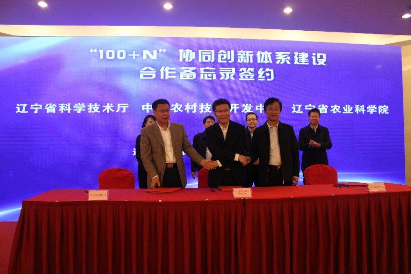 沈阳市新闻12月5日,沈阳新闻15日微博