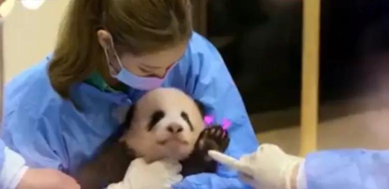 韩国教授内涵吴京运动服抄袭，被骂后认怂删文，并非首次碰瓷中国