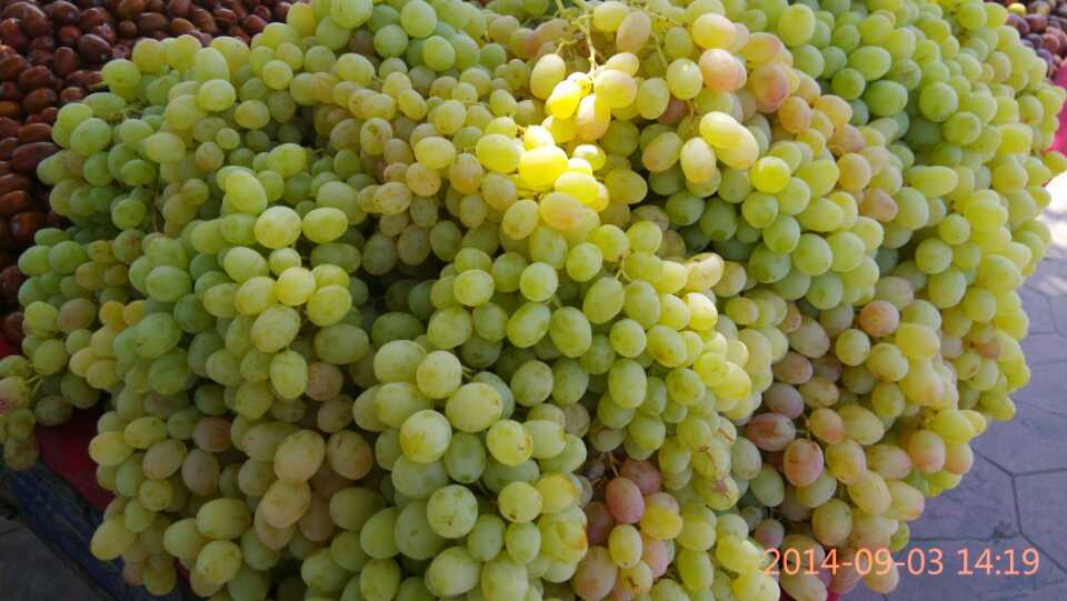 印象喀什噶尔,印象新疆喀什味道