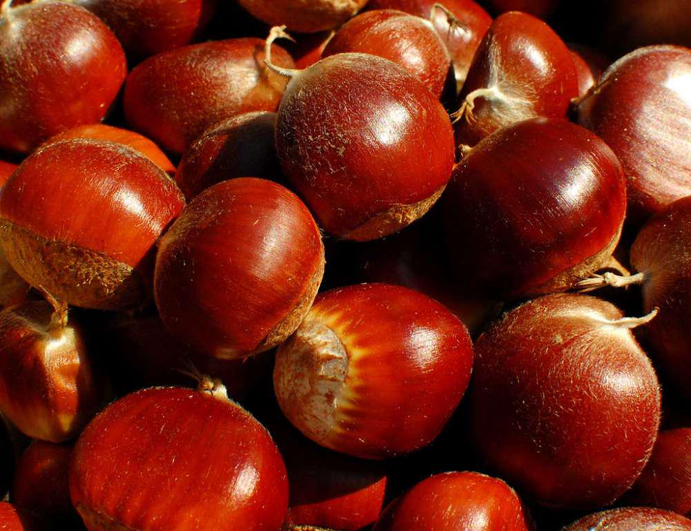 怎么脱栗子皮,去栗子皮的方法