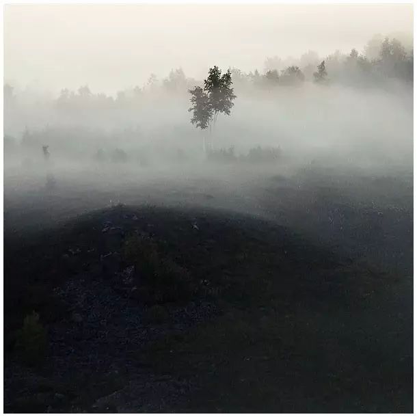 小林｜常恐秋风早，飘零君不知