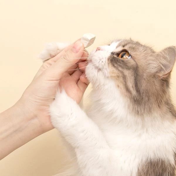 猫咪能吃哪些维生素,猫咪能吃太多营养补充剂吗