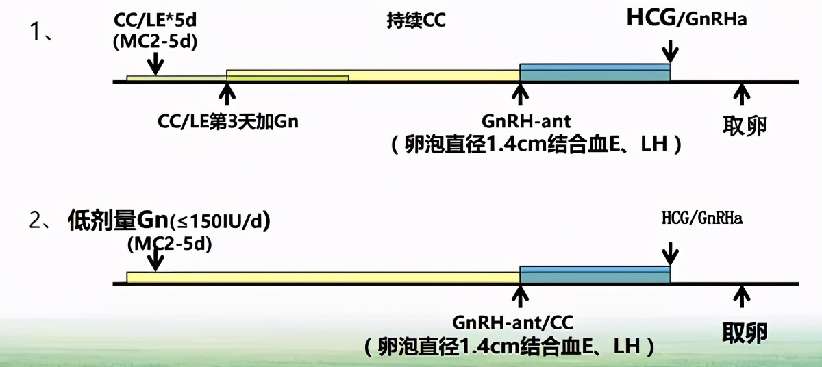 促排卵治疗的最佳方法,促排卵治疗有长方案和短方案吗