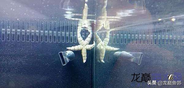 说出来都是泪！只有新下海的人才能体会这种痛，简直是全军覆灭