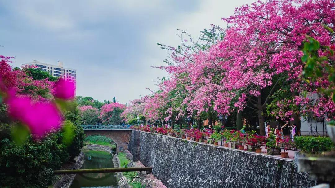 2019必去的旅行地,8月最新旅行地推荐
