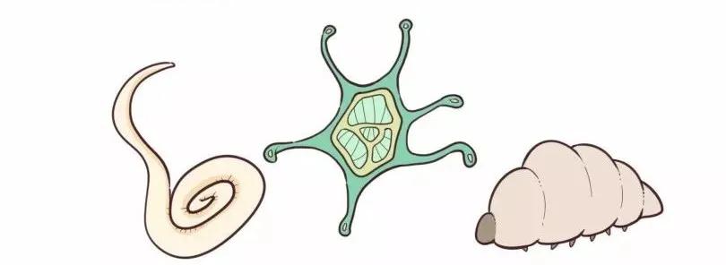 秋季腹泻来势汹汹，预防、治疗、护理3大“雷区”，一次说透