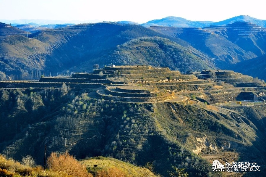天津纪行:美丽的海河,价格令人肉痛的狗不理包子和航母