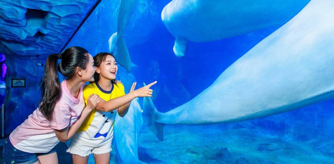 上海迪士尼乐园和长隆哪个好玩,上海迪士尼乐园和珠海长隆的区别