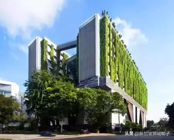 新加坡旅游攻略推荐花园,新加坡花园最新消息