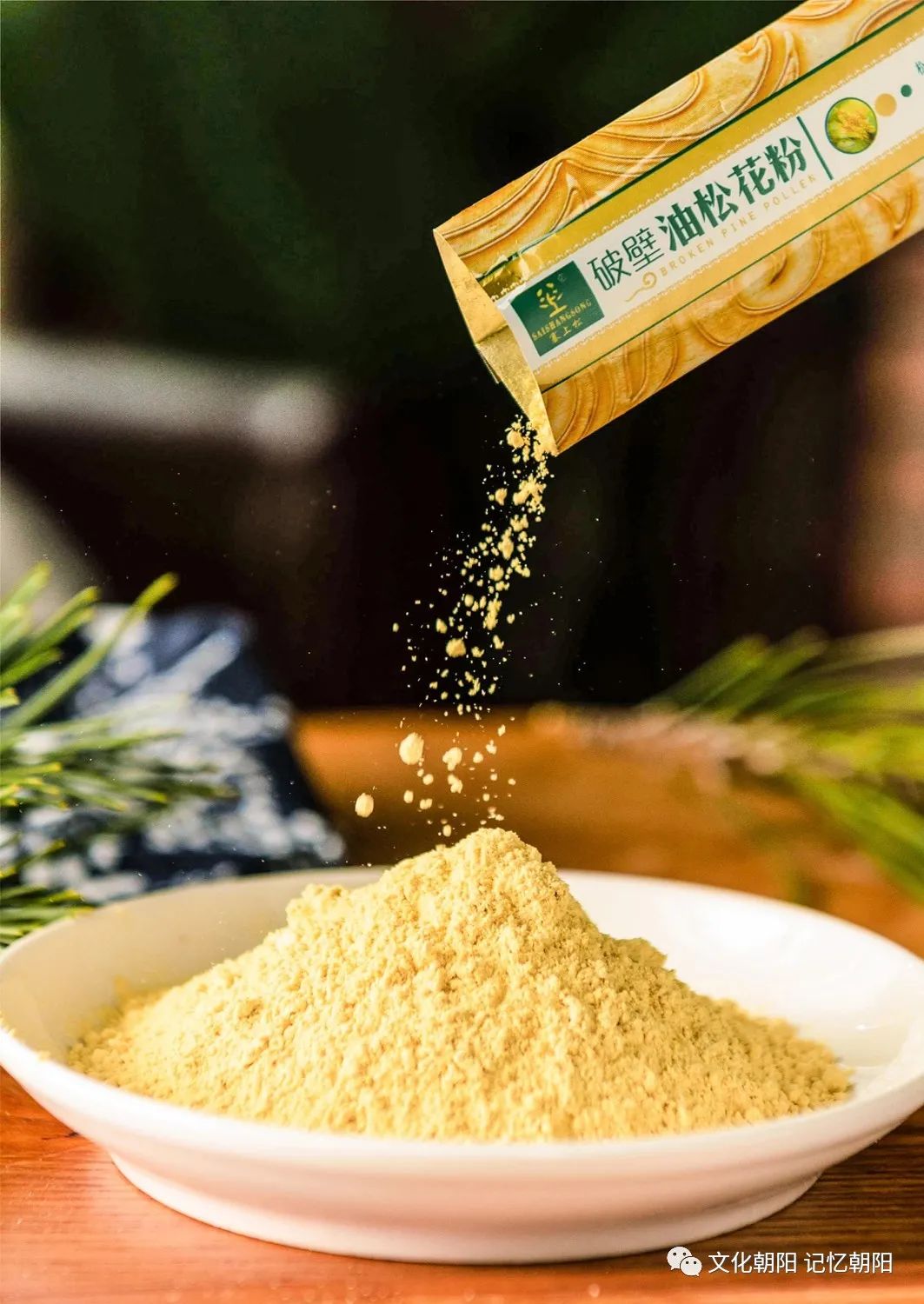 “塞上松”为锦绣之州锦上添花