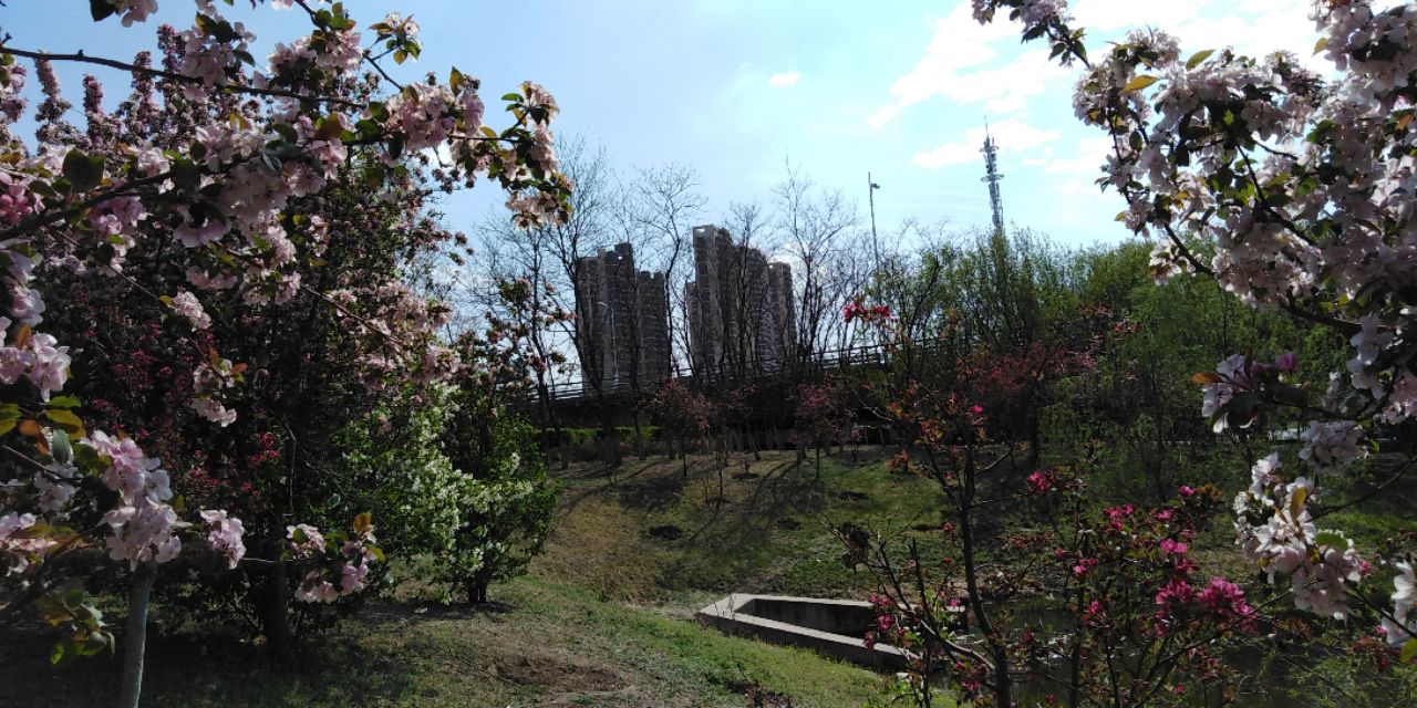 沈阳长白岛森林公园一日游攻略,长白岛森林公园五一