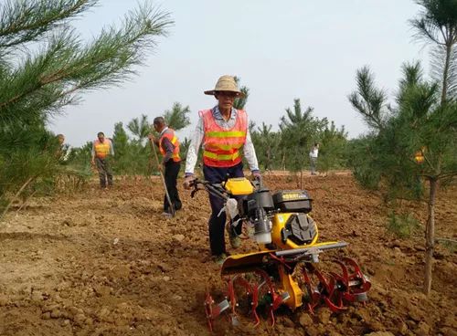 农村致富的10个门路,农村山沟适合做什么生意